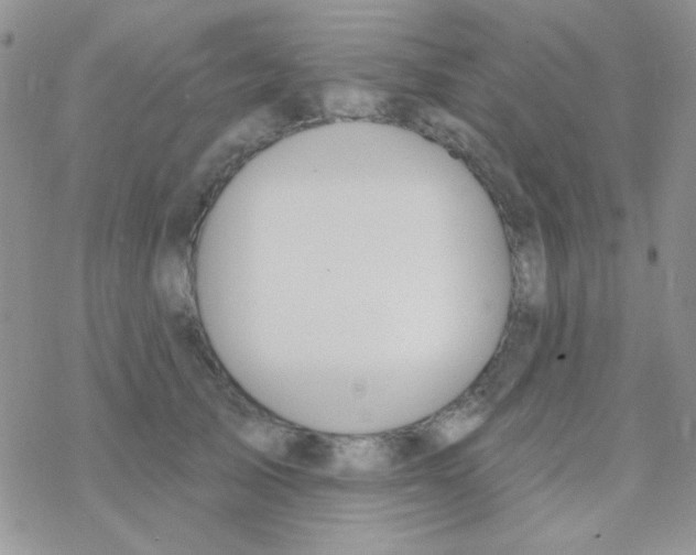 X0000077400705200611172104