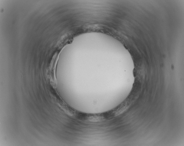 X0000077400708200611172104