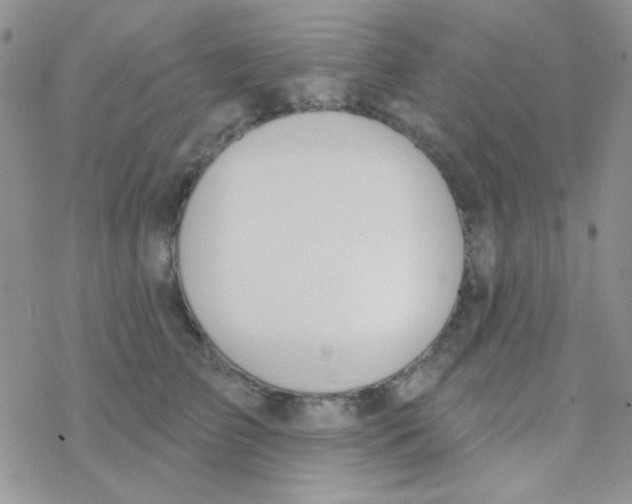 X0000077400709200611172104