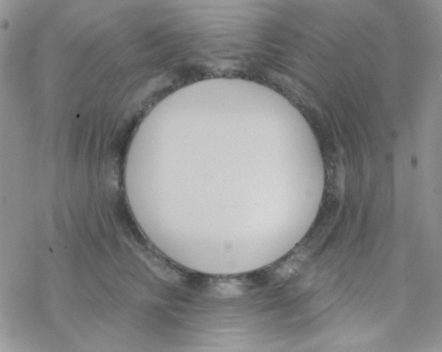 X0000077400710200611172104