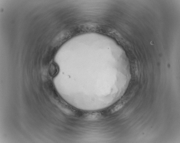 X0000077400711200611172104