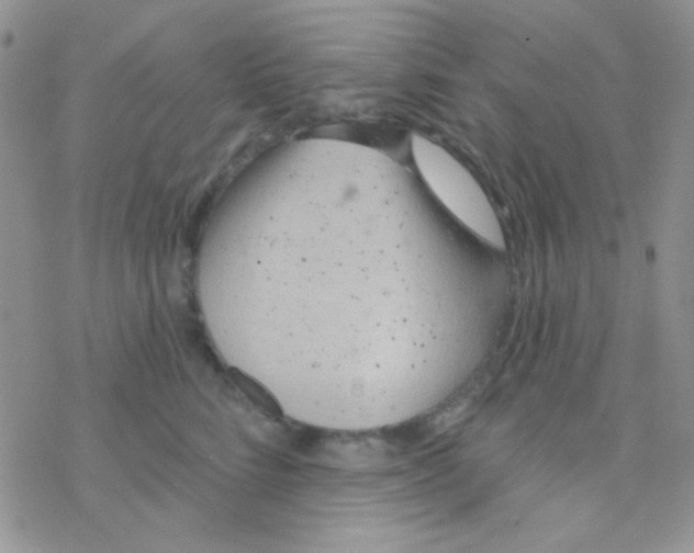 X0000077400712200611172104