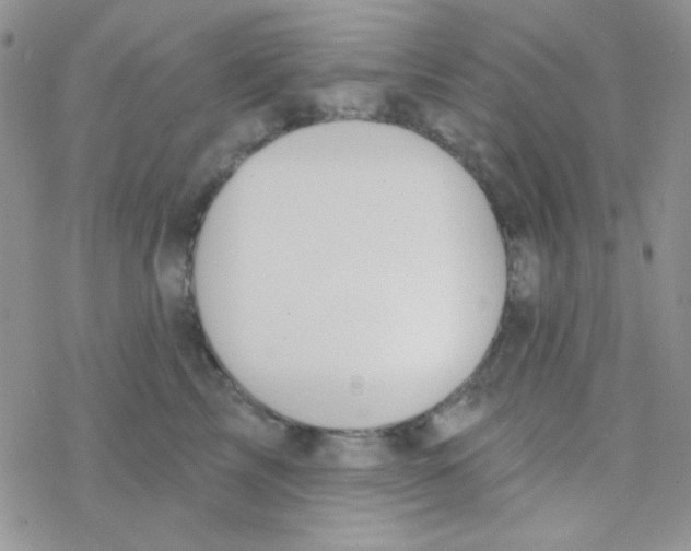 X0000077400713200611172104