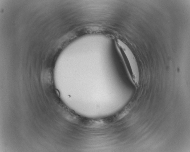 X0000077400715200611172104