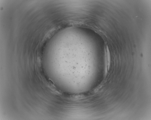 X0000077400716200611172104