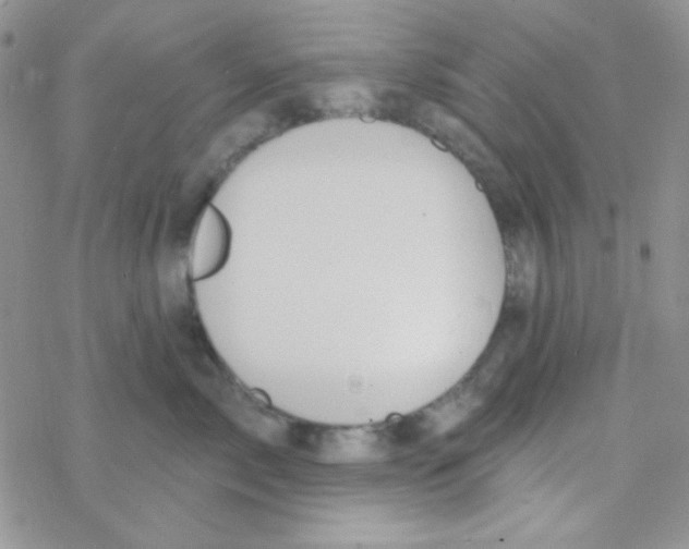 X0000077400717200611172104