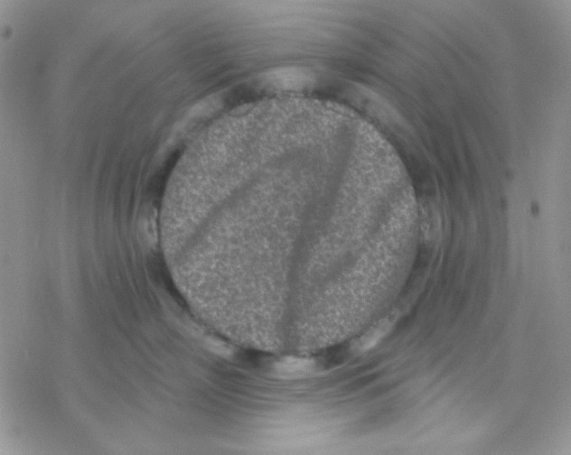 X0000077400718200611172104