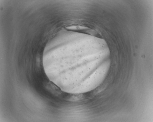 X0000077400720200611172104