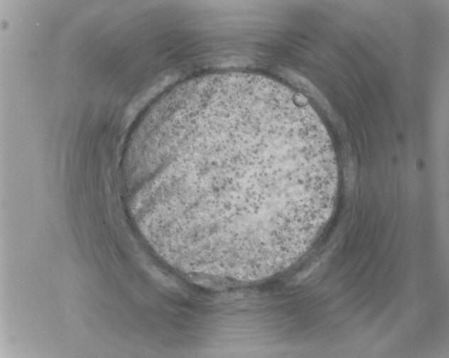 X0000077400721200611172103