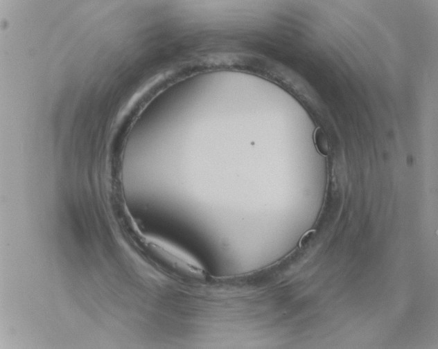 X0000077400722200611172103