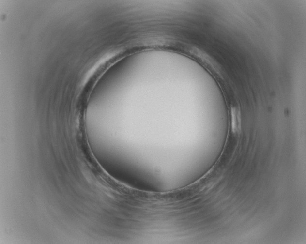 X0000077400723200611172103