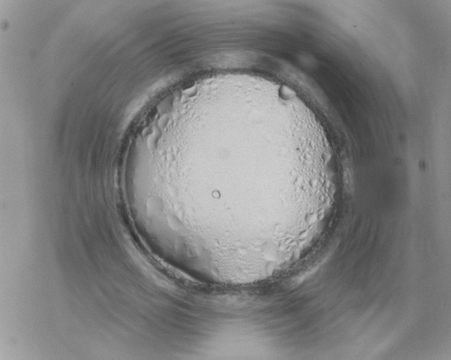 X0000077400725200611172103