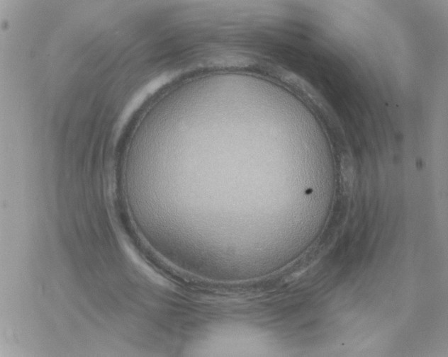 X0000077400726200611172103