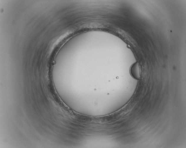 X0000077400727200611172103