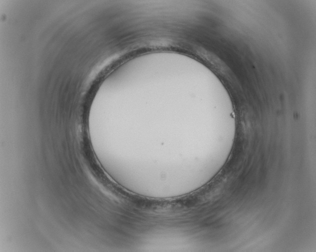 X0000077400728200611172103