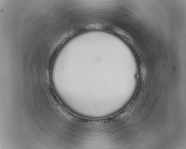 X0000077400729200611172103