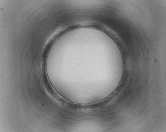 X0000077400730200611172103