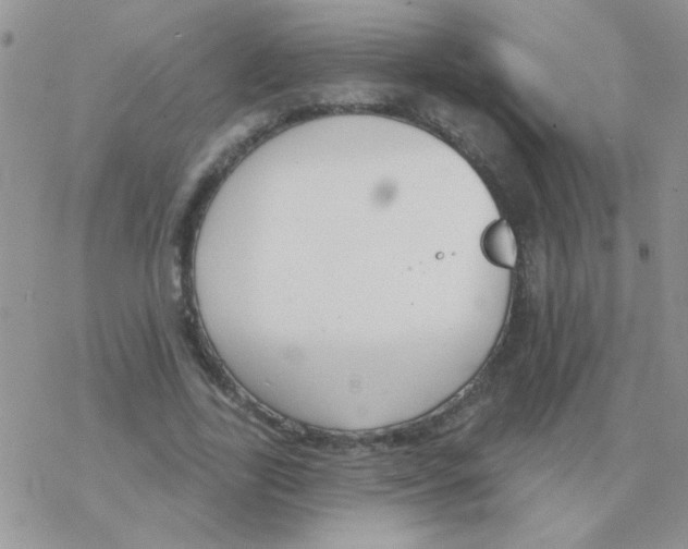 X0000077400731200611172103