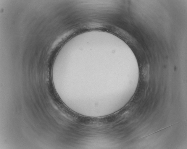 X0000077400732200611172103