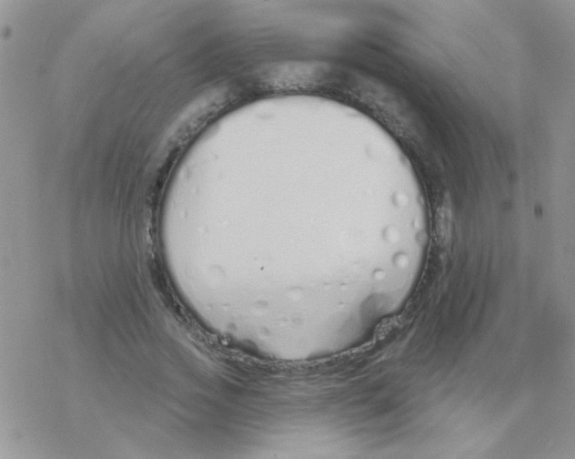 X0000077400733200611172103