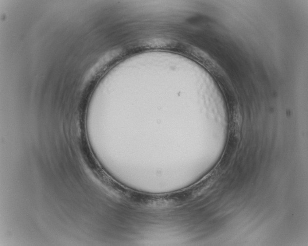 X0000077400734200611172103