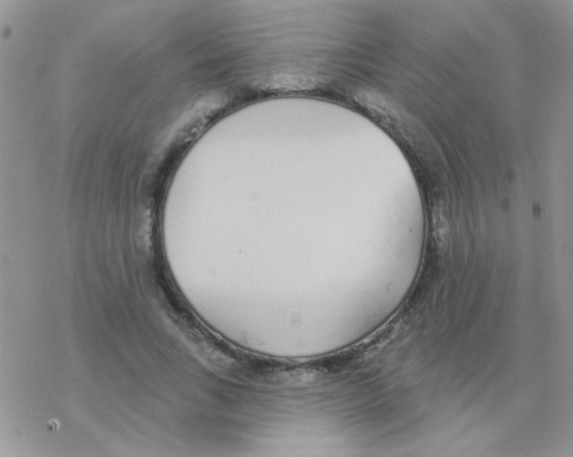 X0000077400735200611172103