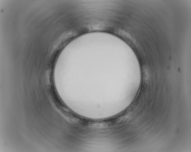 X0000077400738200611172103