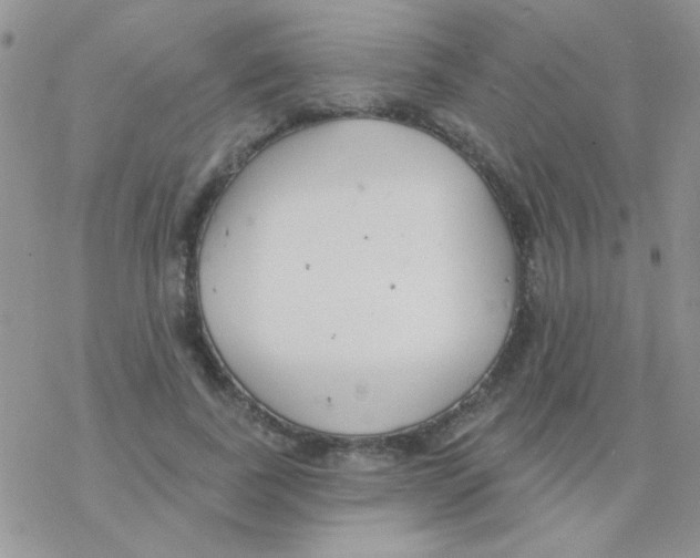 X0000077400739200611172103