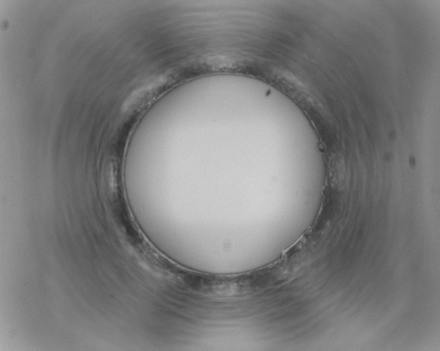 X0000077400740200611172103