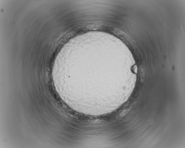 X0000077400741200611172103