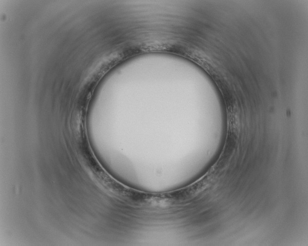 X0000077400742200611172103