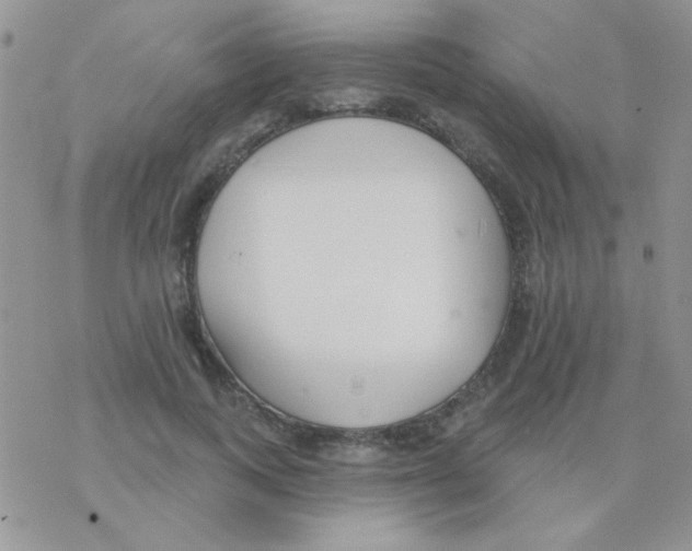 X0000077400743200611172103