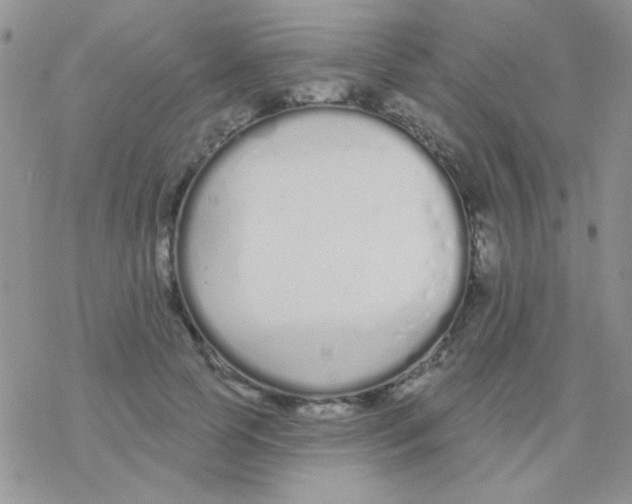 X0000077400745200611172103