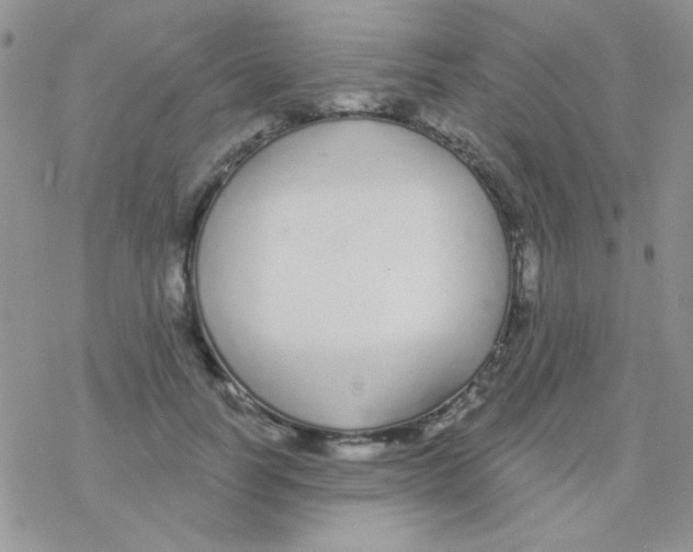 X0000077400746200611172103