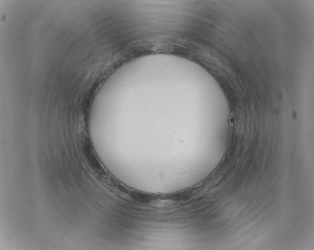 X0000077400748200611172103