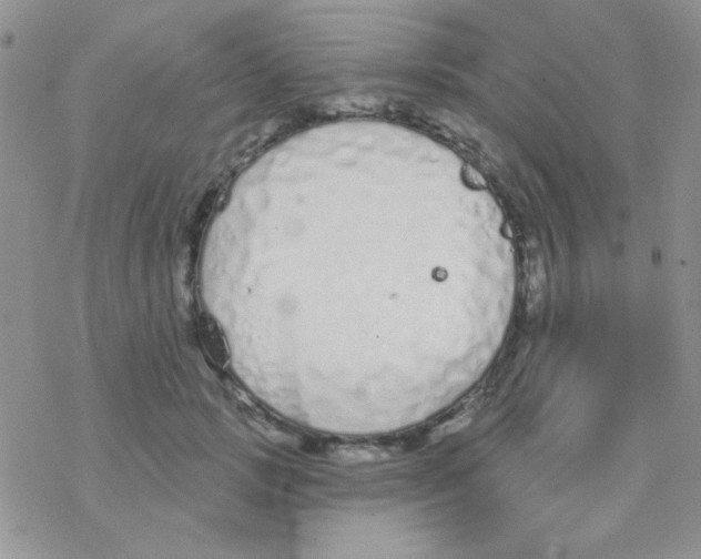 X0000077400749200611172103