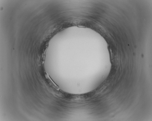 X0000077400750200611172104