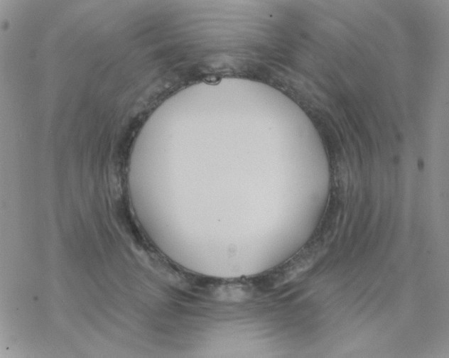 X0000077400751200611172104