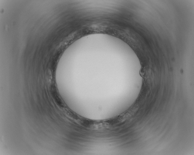 X0000077400752200611172104