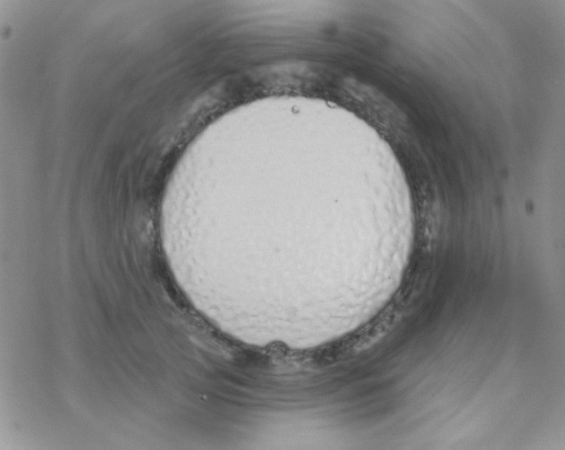 X0000077400753200611172104