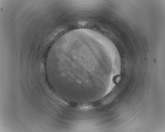 X0000077400754200611172104