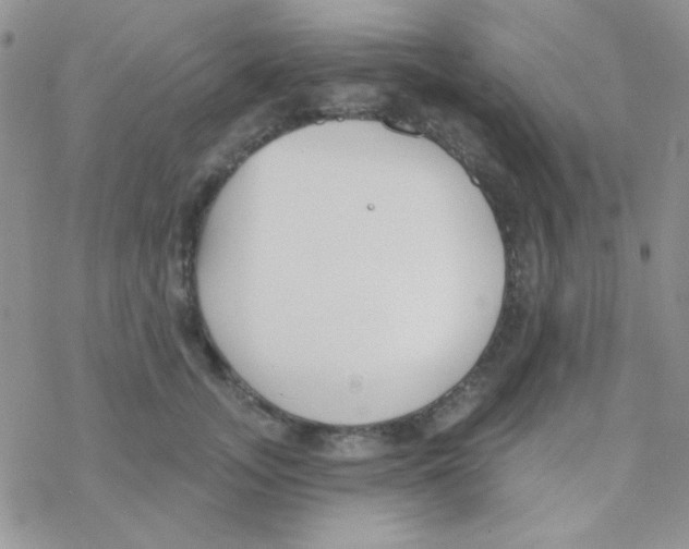 X0000077400755200611172104