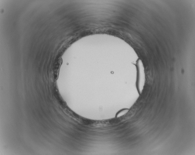 X0000077400756200611172104