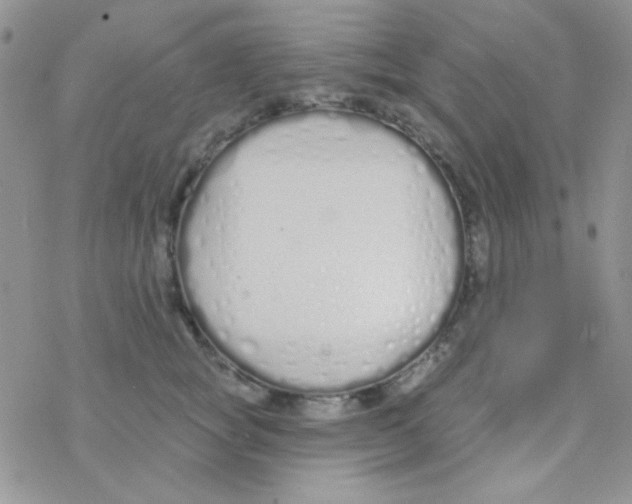 X0000077400757200611172104