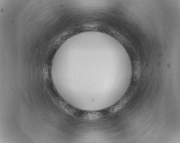 X0000077400758200611172104