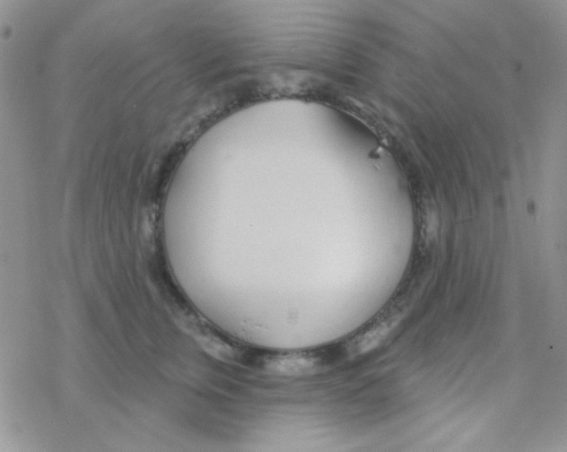 X0000077400759200611172104