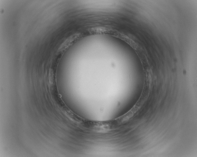 X0000077400760200611172104