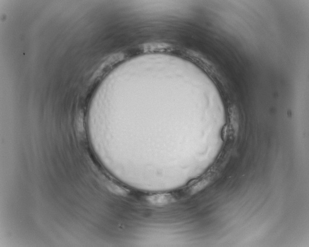 X0000077400761200611172104