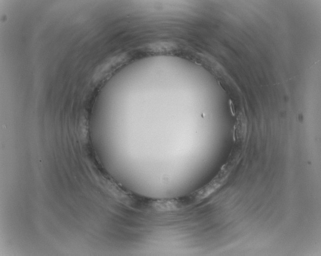 X0000077400762200611172104