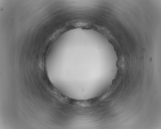 X0000077400763200611172104